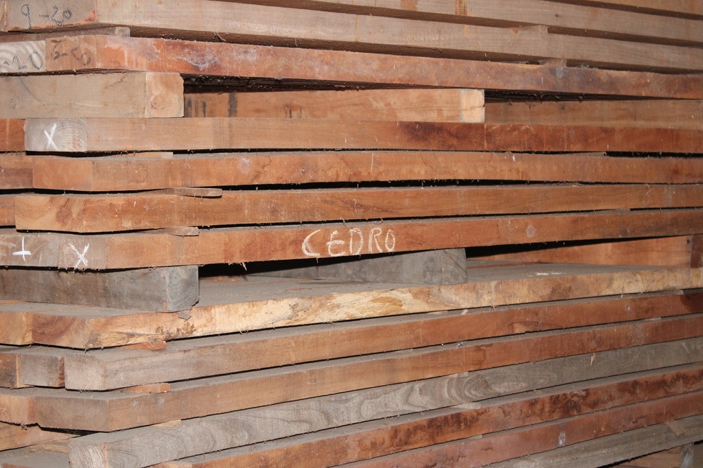 MADERA MACIZA - CEDRO
